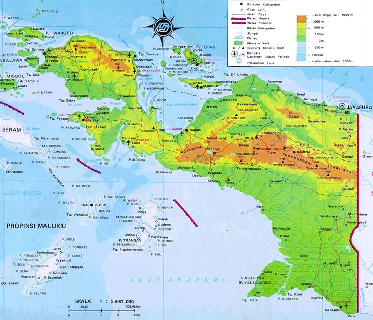 Peta Papua. | Foto : Istimewa.