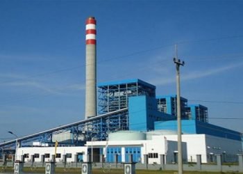 PLN gandeng dua BUMN ini untuk dapatkan pasokan biomassa pengganti batubara