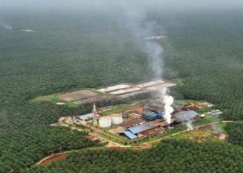 Analis sebut Sampoerna Agro miliki lahan besar untuk ditanami sawit