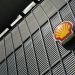 Shell bisa digugat imbas tumpahan minyak di Delta Niger Inggris