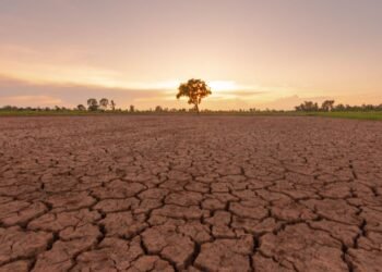 Dampak Kekeringan kurangi 75% kapasitas produksi PLTA