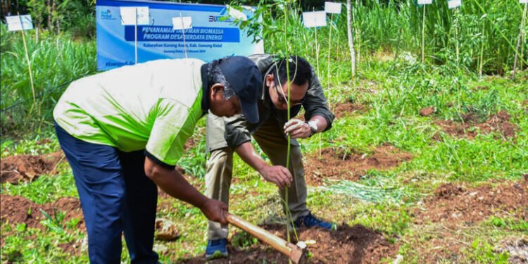 PLN EPI: Gunungkidul ‘pilot project’ produksi biomassa 300 ton/tahun
