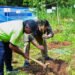 PLN EPI: Gunungkidul ‘pilot project’ produksi biomassa 300 ton/tahun